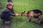 Wildpark Ferleiten